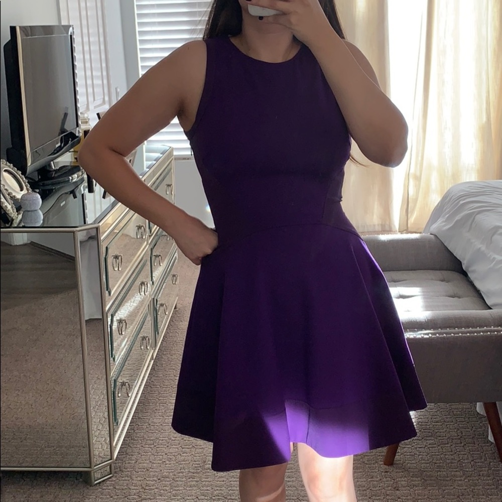 Ted Baker sleeveless A line dress